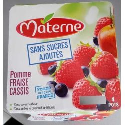 Materne Ssa Pm Frs Cass 4X100G