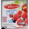 Materne Ssa Pm Frs Cass 4X100G