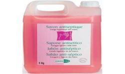 Hydenet 4X5L.Savon Antiseptiq Main Ml