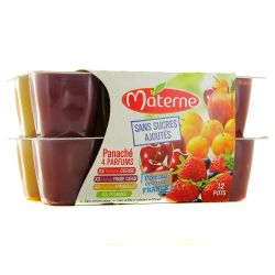 Materne Pack 12X100G Dessert Panache Sans Sucre Ajoute