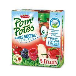 Pom'Potes Compotes En Gourde 5 Fruits Sans Sucre Ajoutés : Les 4 Gourdes De 90 G