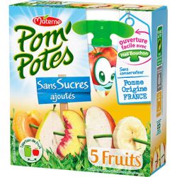 Pom'Potes Compotes En Gourde 5 Fruits Sans Sucre Ajoutés Sucres : Les 4 Gourdes De 90 G