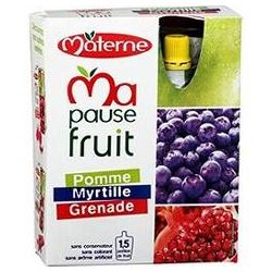 Materne Pack 4X120G Gourde Dessert Pomme/Myrtille/Grenade