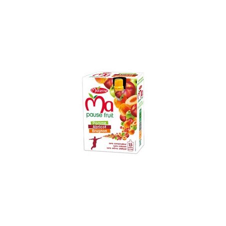 Materne 4X120G Mpf P/Abricot/Brugnon