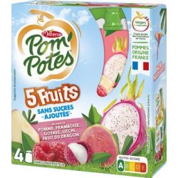 Pom'Potes Pp Ssa 5 Fruits Roses 4X90G