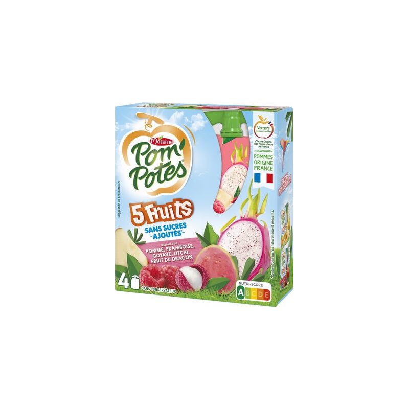 Pom'Potes Pp Ssa 5 Fruits Roses 4X90G