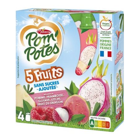 Pom'Potes Pp Ssa 5 Fruits Roses 4X90G