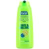 Fructis 400Ml Shp Chvx Normaux