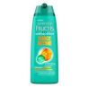 Fructis Fruct.Shp Force Antipell 250Ml