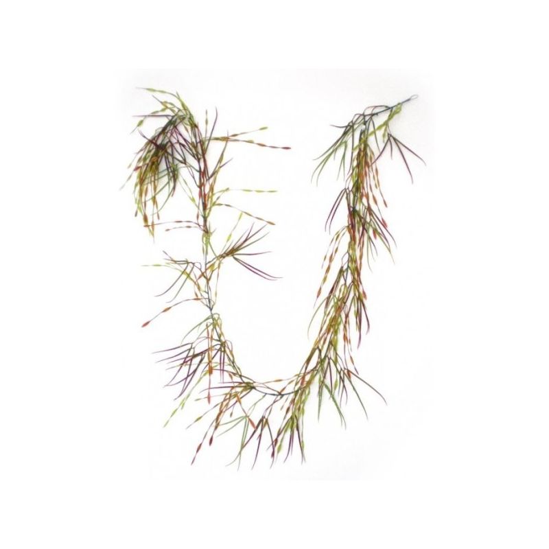 Rbl Diffusion 12 Guirlandes Pteris Vert/Burg