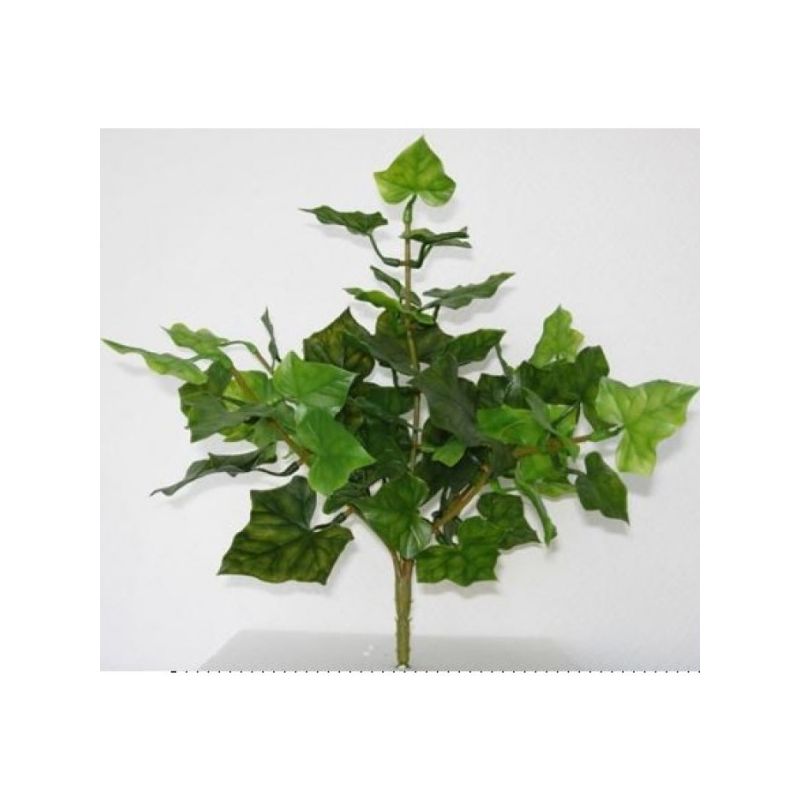 Rbl Diffusion 24 Piquets De Lierre 2 Tons