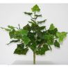 Rbl Diffusion 24 Piquets De Lierre 2 Tons