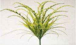 Rbl Diffusion 12 Piquets Pteris Vert 2 Tons