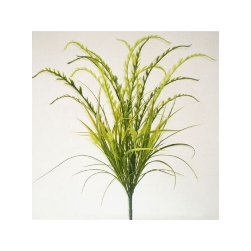 Rbl Diffusion 12 Piquets Pteris Vert 2 Tons