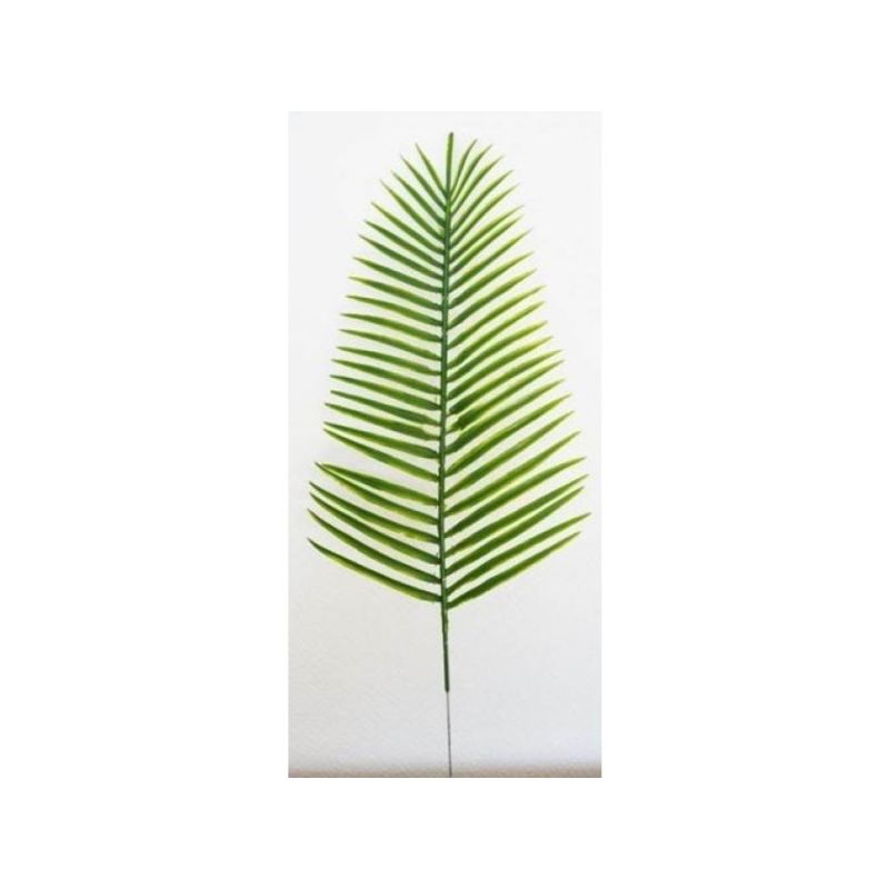 Rbl Diffusion 48 Palme Canariensis Pm