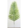 Rbl Diffusion 48 Palme Canariensis Pm