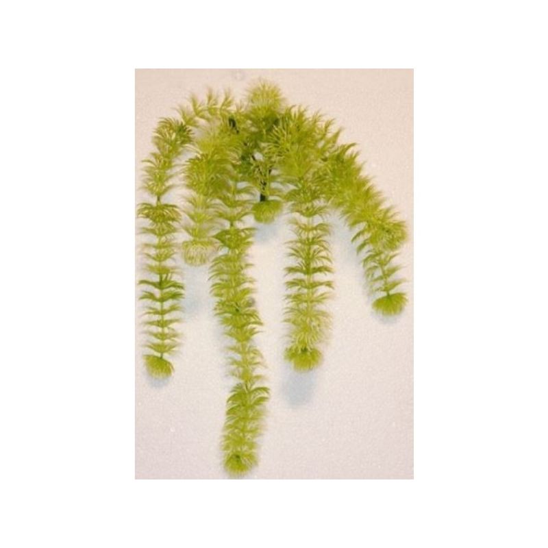 Rbl Diffusion 24 Suspension Mini Blanc/Vert