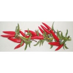 Rbl Diffusion 12 Guirlandes Piments Rouge