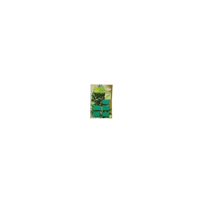 Carrefour 25 Batonnets Plante Verte Crf