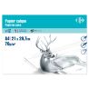 Carrefour Papier Calque 210X297 12 Feuilles 70G - Crf