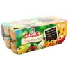 Andros 16X100G Dessert Panache