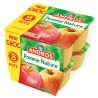 Andros 8X100Gr Pomme Nat Brd