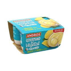 Andros And.Brasse Vegetal Cit.4X100G