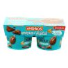 Gourmet Et Vegetal 2X120G Dessert Vegetale Aux Lait D'Amande Chocolat Andros