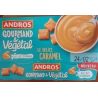 Andros And.Delice Vegetal Cara.2X120G