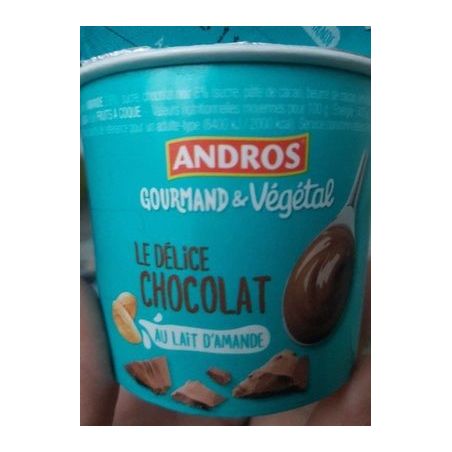 Andros And.Delice Vegetal Choco 120G