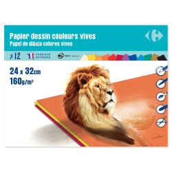 Carrefour Papier Dessin 240X320 Couleurs Vives 12 Feuilles 160G - Crf